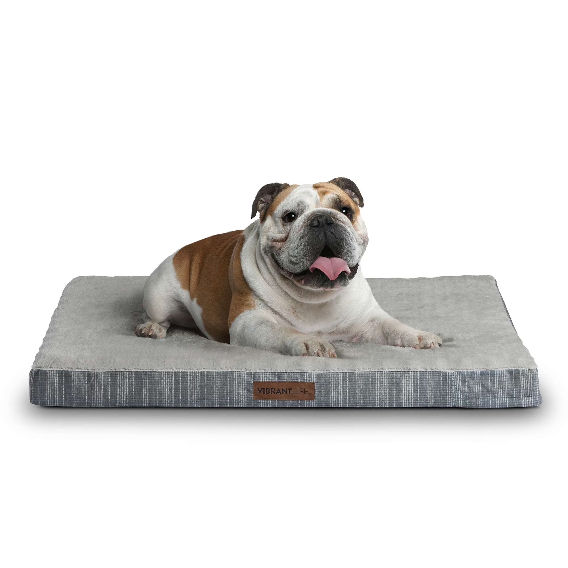 Large Orthopedic Foam Dog Bed for Large Breeds, 35" X 25", Grey