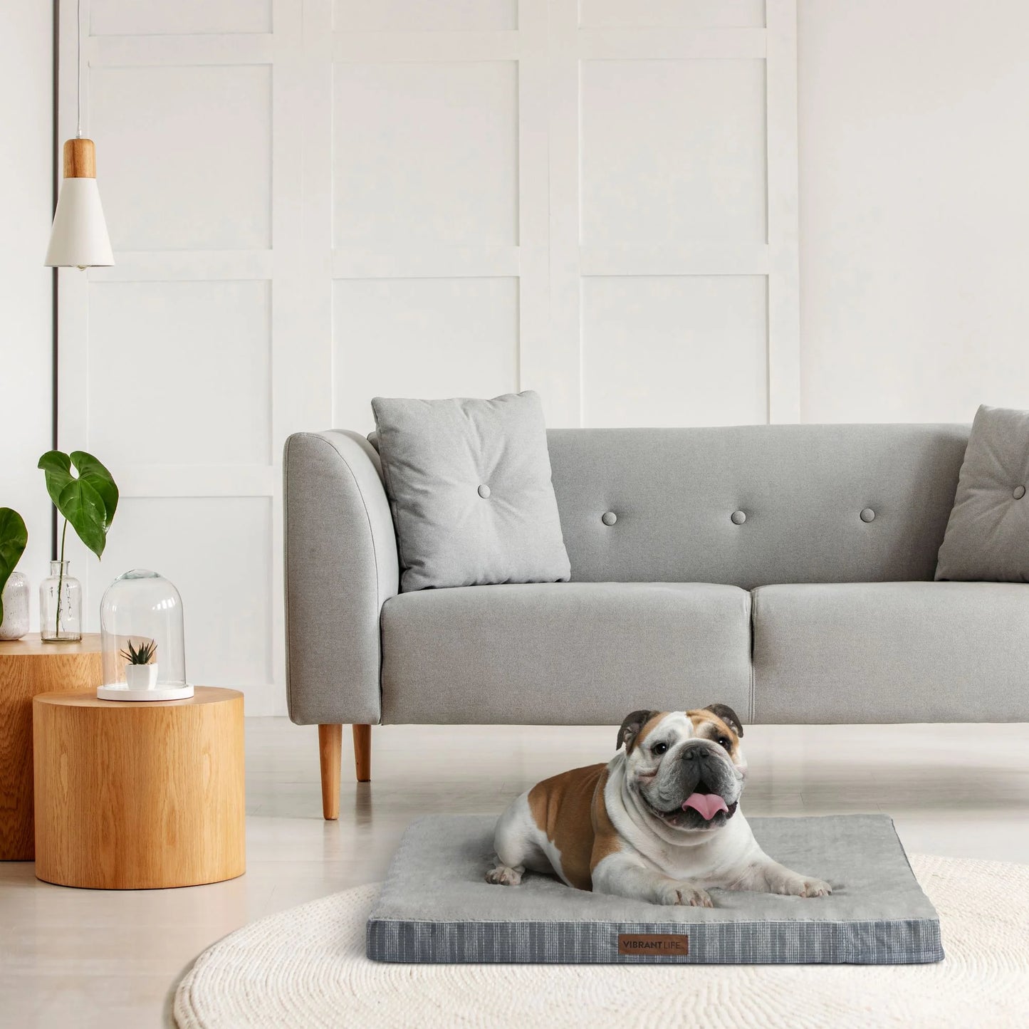 Large Orthopedic Foam Dog Bed for Large Breeds, 35" X 25", Grey